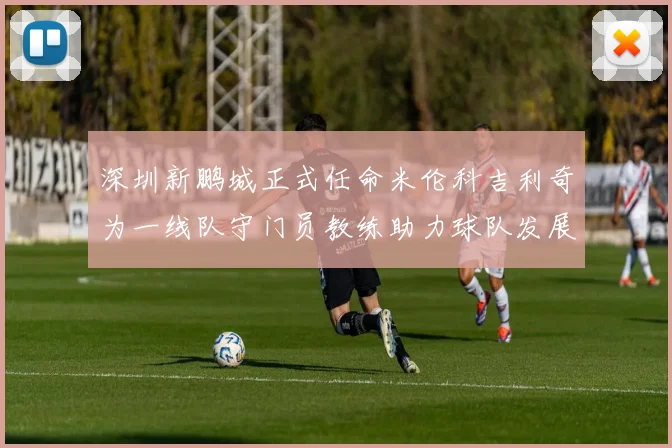 深圳新鹏城正式任命米伦科吉利奇为一线队守门员教练助力球队发展