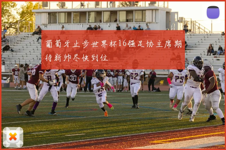 葡萄牙止步世界杯16强足协主席期待新帅尽快到位