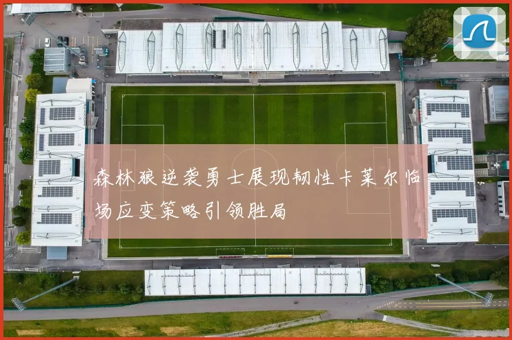 森林狼逆袭勇士展现韧性卡莱尔临场应变策略引领胜局